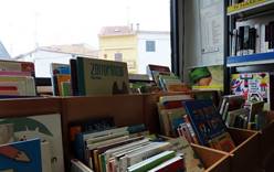Библиотека на колесах развозит книги по деревням региона Мадрид