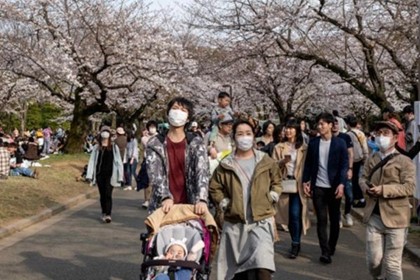 Туризм в Японии на грани коллапса из-за коронавируса
