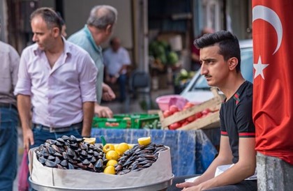 В уличной еде в Стамбуле нашли вредные бактерии