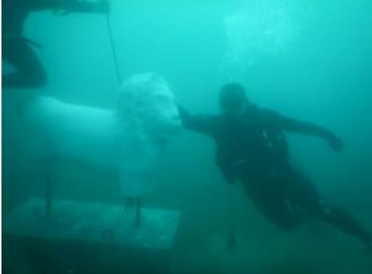 В Эгейском море создают подводный музей за 1 млн евро