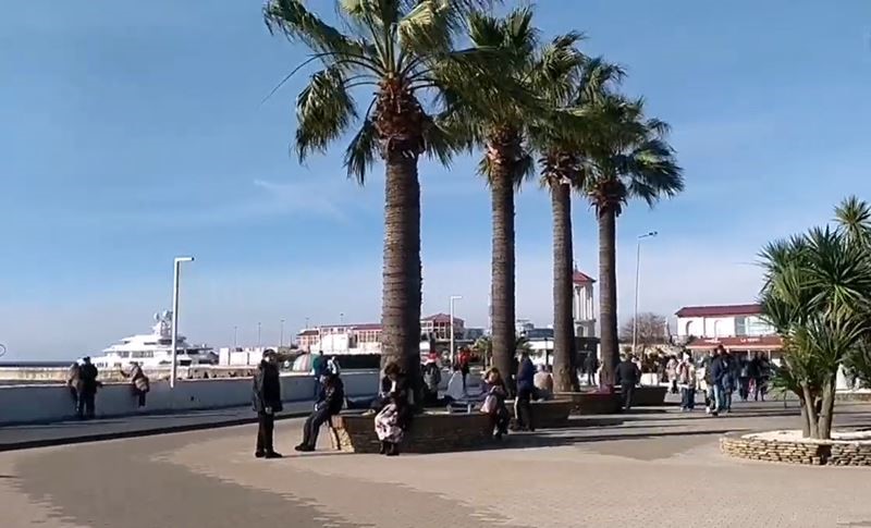 Пальмы и солнце. Туристы рассказали о погоде в Сочи на Новый год