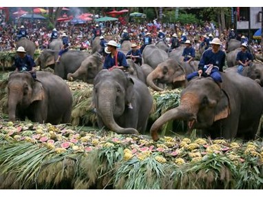 Национальный день тайского слона