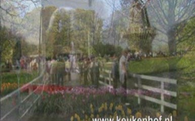 Парк цветов - Кекенхоф