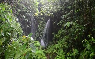 Водопад на Бали