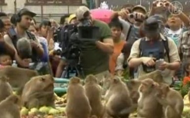 Пир для обезьян в Таиланде