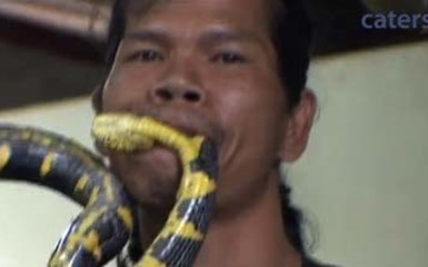 Мужчина укусил ядовитую змею
