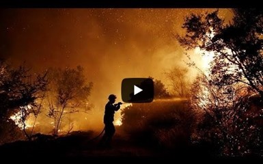 Лесные пожары бушуют в Греции