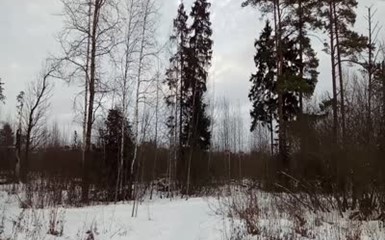 Зимушка-зима в Подмосковье 