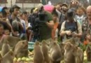 Пир для обезьян в Таиланде