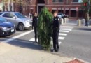 Американская полиция арестовала дерево