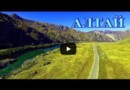 Дорога вдоль реки Катунь в горах Алтая