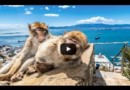 Гибралтар – Место, где Европа встречается с Африкой