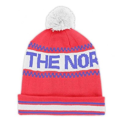 The North Face Ski Tuke Iv розовый OS - Увеличить