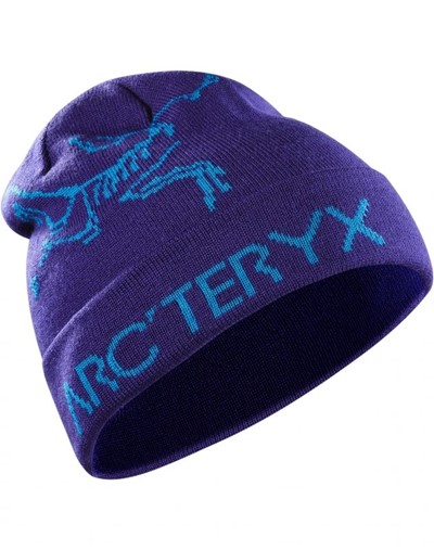 Arcteryx Rolling Word фиолетовый - Увеличить