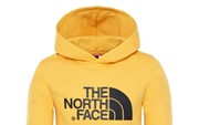 The North Face Drew Peak Hoody детская