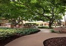 Courtyard Fort Lauderdale Plantation