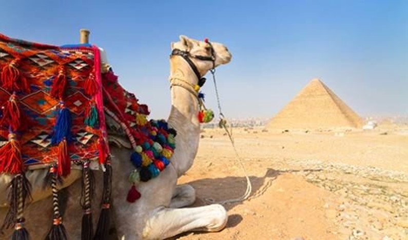 Египет не откроют раньше середины 2018-го года