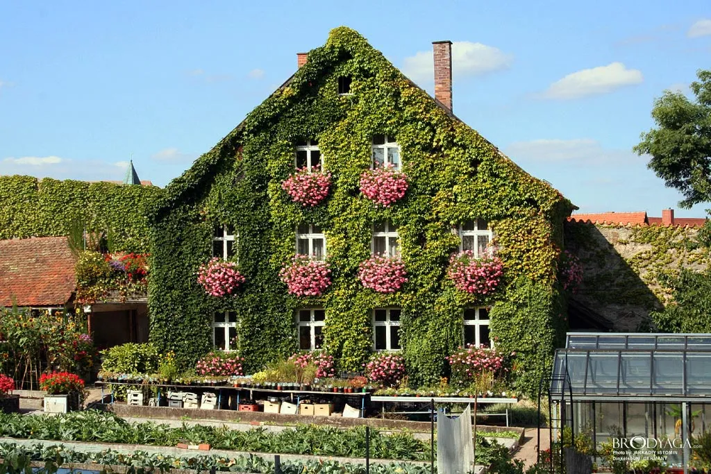 Динкельсбюль (Dinkelsbuehl). Праздник старого города.