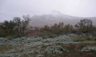 Парк Вэлэдаленс