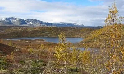 Национальный парк Абиску