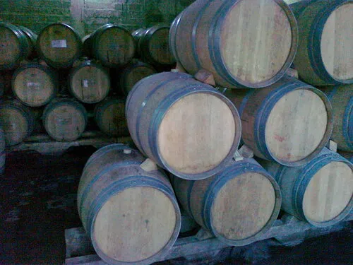 Винный тур в хутор Садовый, на Шато ле Гранд Восток