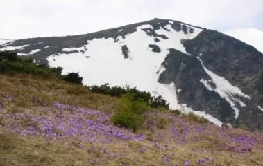 Говерла – самая высокая гора в Украине.