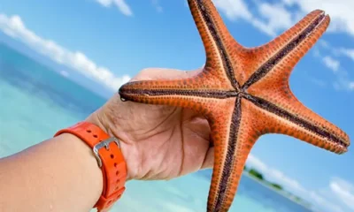 Бархатный сезон на море: куда отправиться?