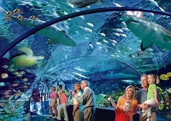 Ripley's Aquarium – самый большой аквариум в Канаде