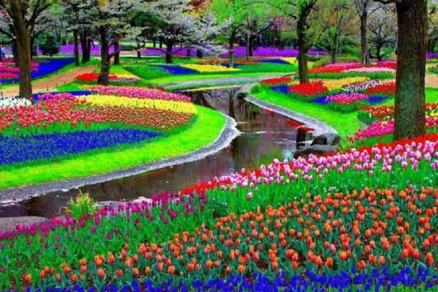 Кёкенхоф - единение с природой