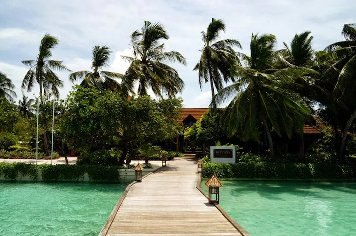 Курумба. Весёлые кокосы.