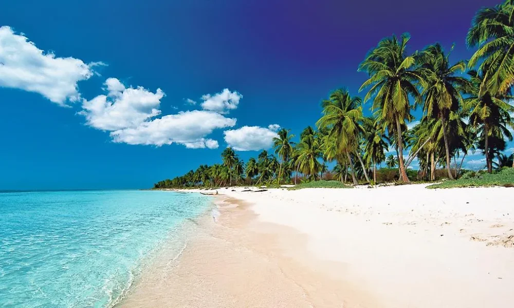 Отдых в Доминикане