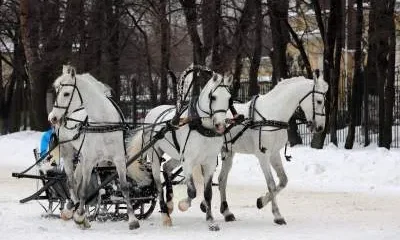 Новый год и Рождество в Подмосковье