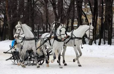 Новый год и Рождество в Подмосковье