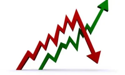 Кризис в России.  Количество туроператоров по внутреннему туризму растет