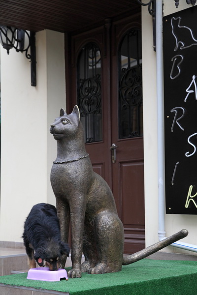 В гостях у Барсика