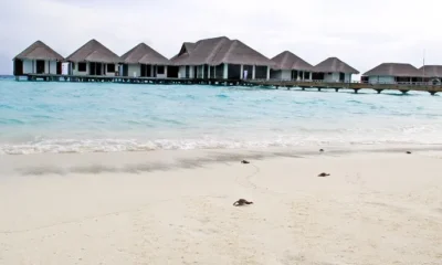 Уникальное событие в Velassaru Maldives