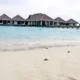 Уникальное событие в Velassaru Maldives