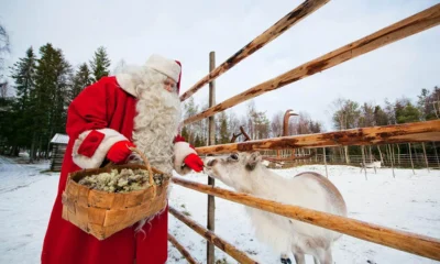 Новый год  как в сказке