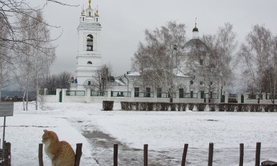 Судьба усадьбы