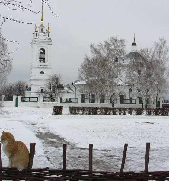 Судьба усадьбы