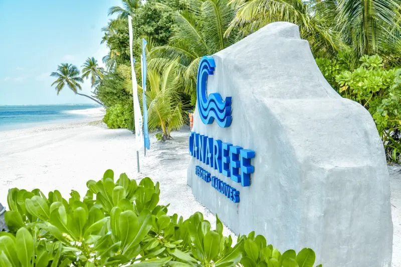 Курорт «Canareef Resort Maldives» на Мальдивах — место, где можно забыть обо всём