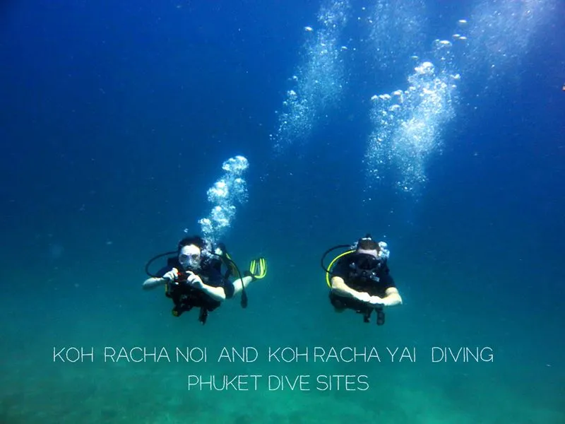 ДАЙВИНГ у островов Koh Racha Noi и Koh Racha Yai