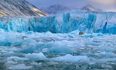 Самые интересные ледники Норвегии