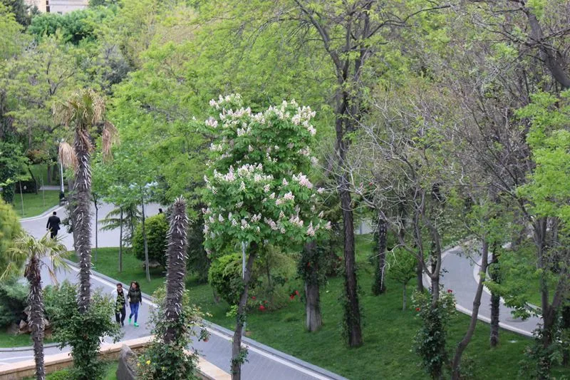 Наше знакомство с Баку