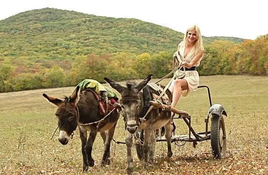 Вот это новость! Чиновники объявили, какая отрасль станет «локомотивом экономики» России