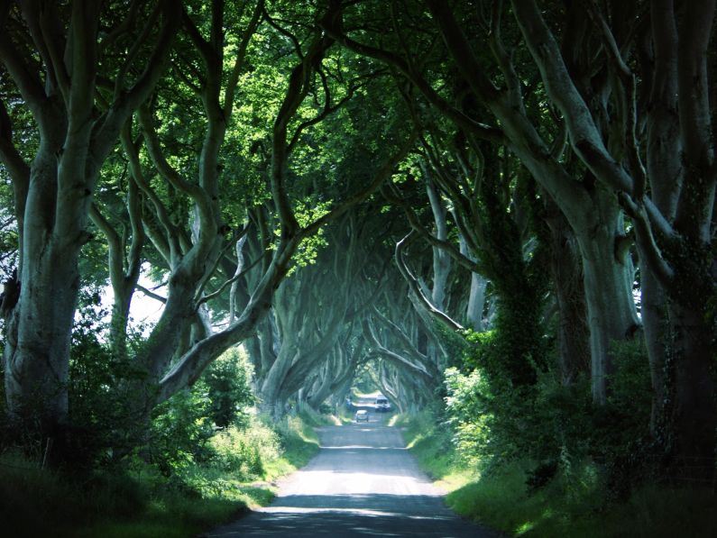 Dark Hedges, Northern Ireland