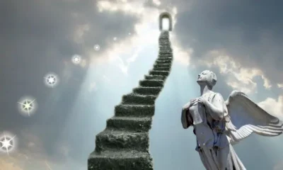 Сегодня объявят о возобновлении чартерного авиасообщения между Россией и Турцией?