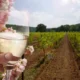 Рейтинг самых популярных мест Винного туризма в России