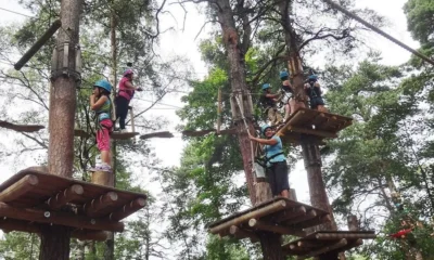 Верёвочный ПАРК ПРИКЛЮЧЕНИЙ KORKEE (Adventure Park Korkee) в Хельсинки