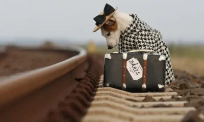 Российские туристы хотят